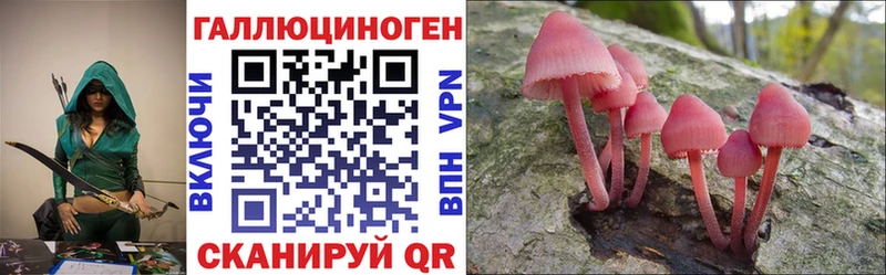 Галлюциногенные грибы Psilocybe  KRAKEN ССЫЛКА  Холм  где купить  